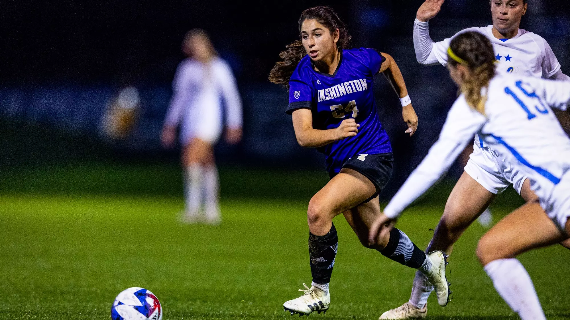 项目的发展 项目的发展